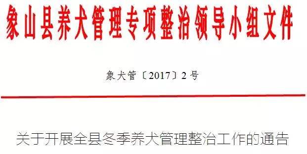 象山开出首批不文明养犬行为罚单,违规养犬该怎么举报