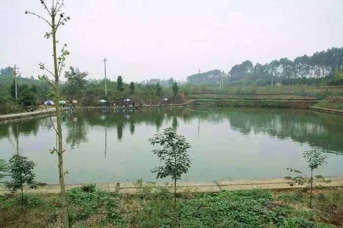 成都周边适合新手钓鱼的地方,成都2020十大免费钓鱼地方