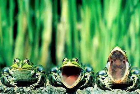 天气古谚语1000句,天气谚语大全100句经典短句