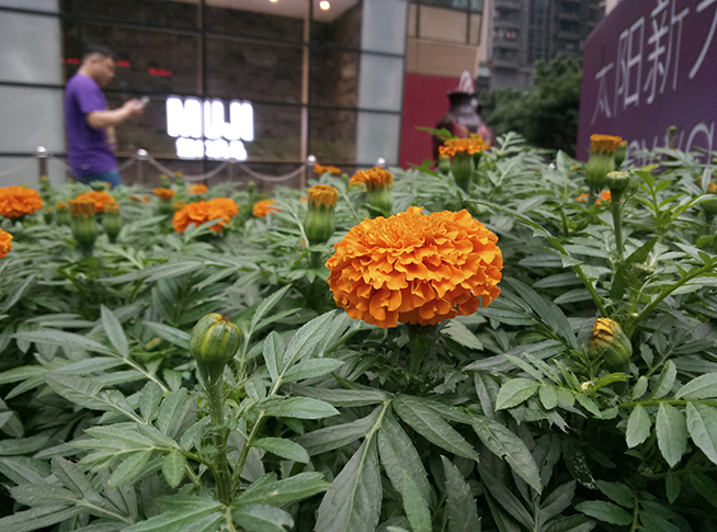 魅蓝note3深度测评,魅蓝3全网通评测