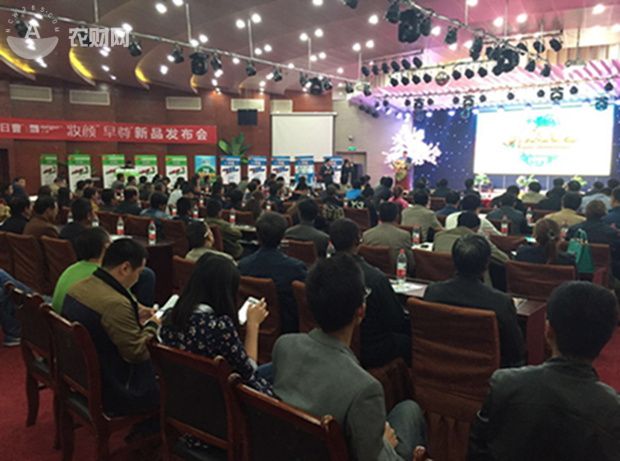 日曹妆颜杀菌剂功效作用,日曹妆颜杀菌剂在柑橘上应用