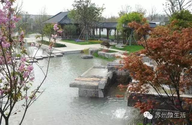 园博园花海在哪个位置,园博园花海现在还有么