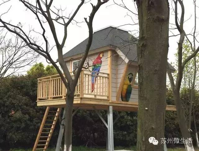 园博园花海在哪个位置,园博园花海现在还有么