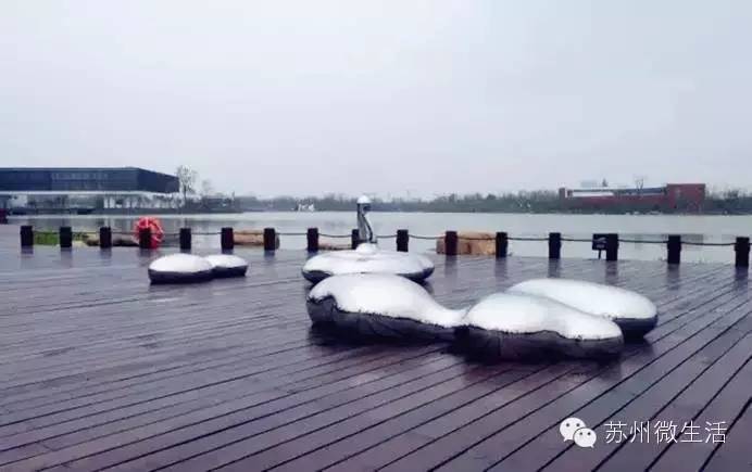 园博园花海在哪个位置,园博园花海现在还有么