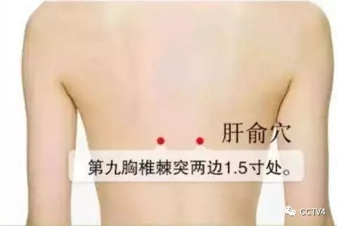 冬天冻手冻脚是什么原因,不求人冬季为什么不在一个战队了