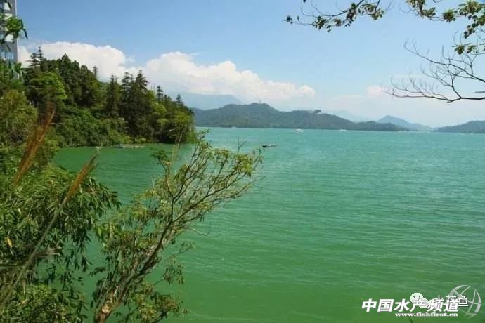 养殖水浓用什么药好,养殖水硬度高有什么好处