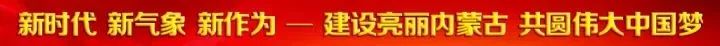 鄂伦春冰雪季旅游攻略,鄂伦春冰雪节一览