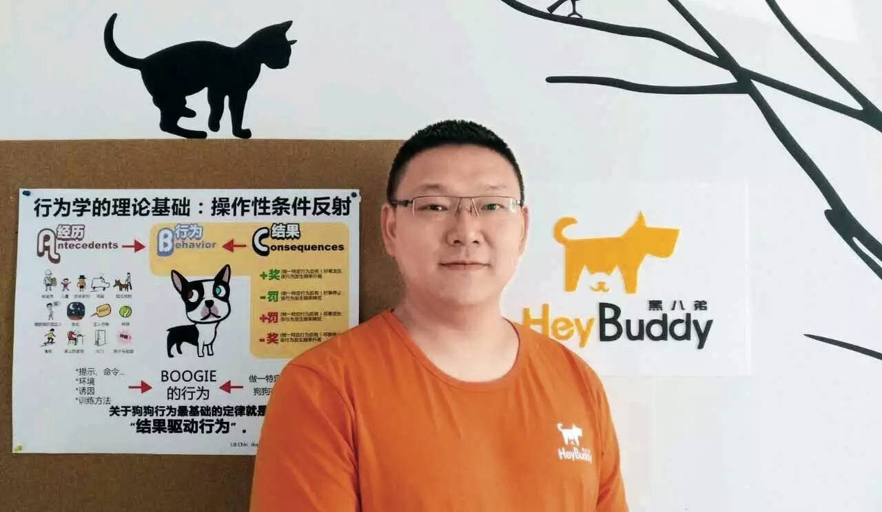 狗狗行为制止,狗狗行为矫正科目都有什么