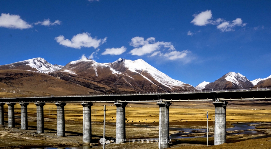 逃离香格里拉,逃离唐古拉山