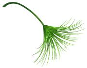 原发性头疼需要住院吗,原发性头疼吃哪些药好呢