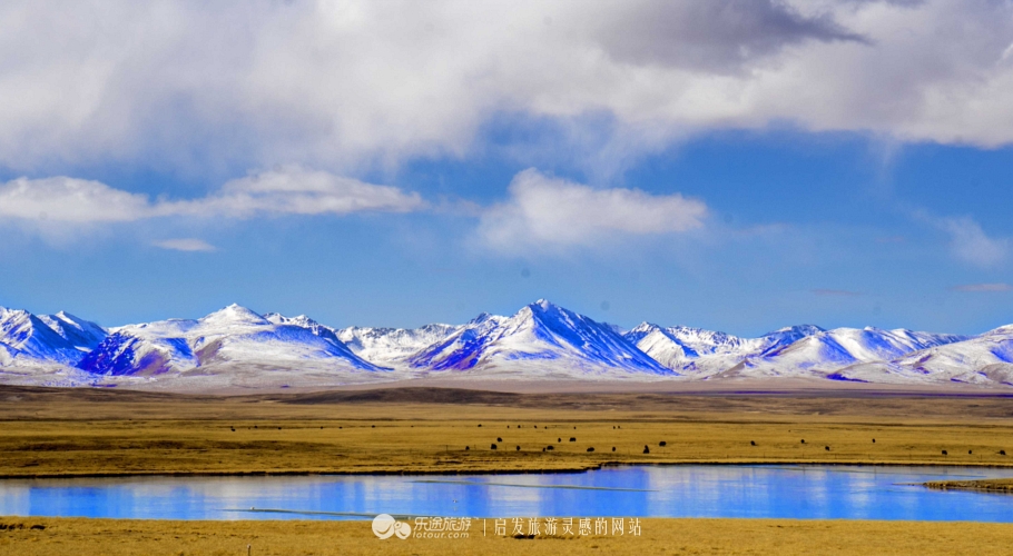 逃离香格里拉,逃离唐古拉山