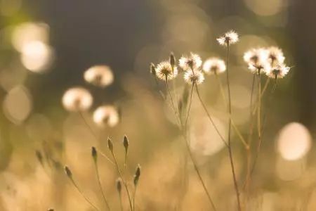 学生评教建议和要求,学生评教未完成怎么办