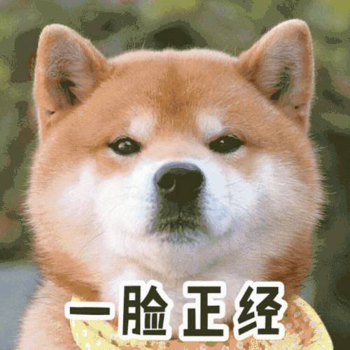 属狗58年今日运势,今日属狗之人财运是否好