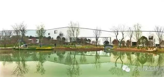 园博园花海在哪个位置,园博园花海现在还有么