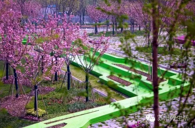 园博园花海在哪个位置,园博园花海现在还有么