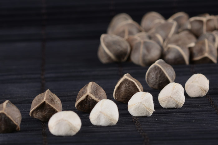 你很可能吃了一个“假”的辣木籽！