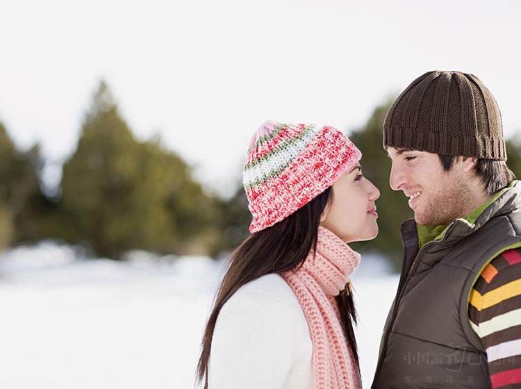 想和恋人来场“冬季恋歌”为什么电炖锅能让爱更加坚固？