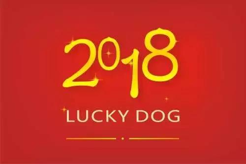 幼儿园元旦手工制作：鞭炮灯笼卡纸舞龙等，8个教程“年味”十足