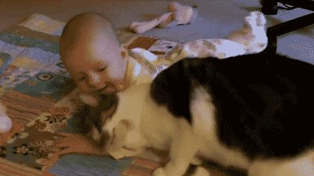 想知道你在喵星人的眼里是什么样儿的吗？答应我看完别伤心