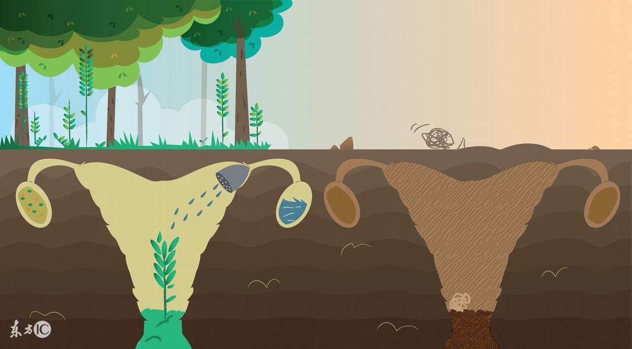 卵巢储备功能差如何正确备孕,卵巢储备功能降落会怀孕吗