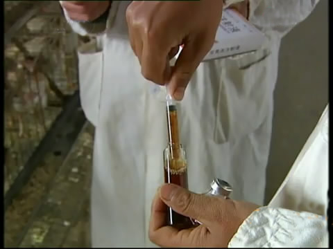 斗鸡苗养殖方法,斗鸡的养殖视频大全