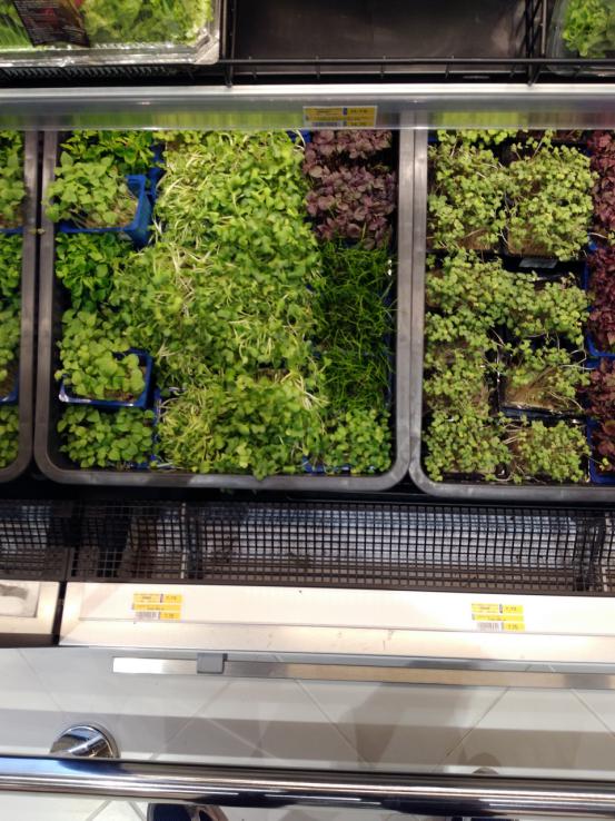 沙特物价是中国的几倍,沙特物价