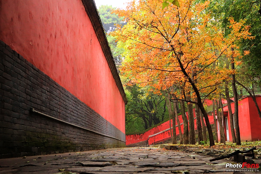 佳能eos800d摄影视频,相机初学者推荐佳能800d