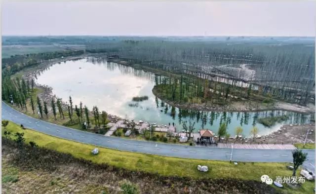 世界上最好的养生药,十大最养生药