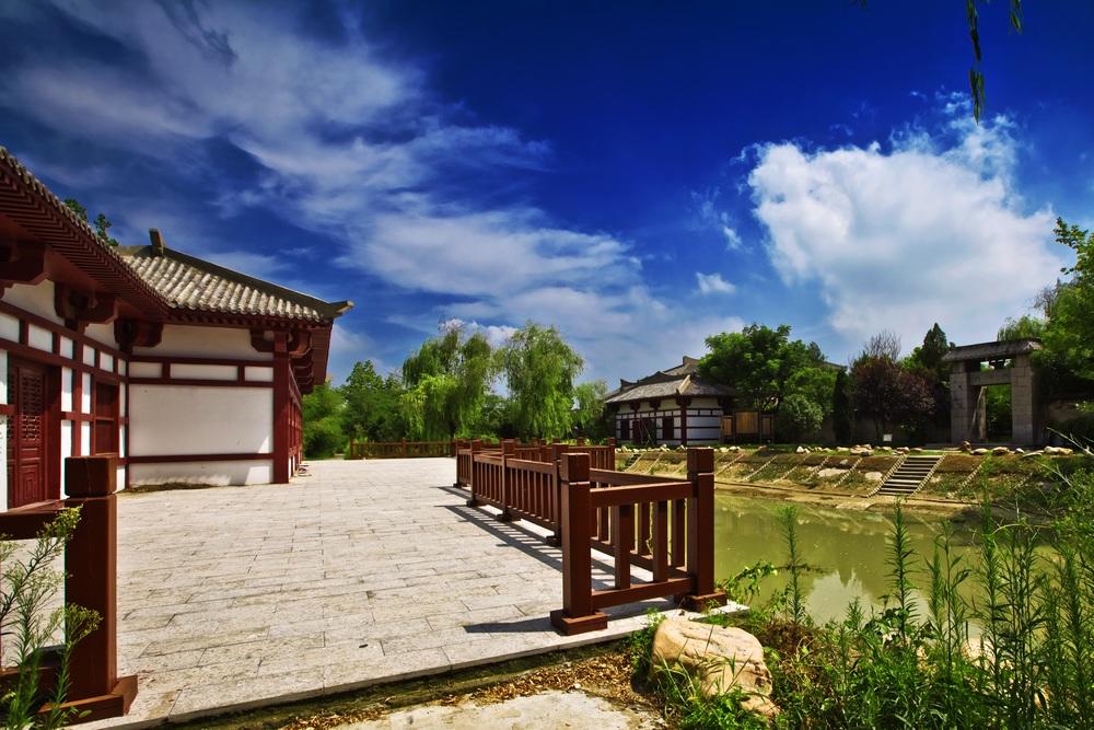 世界上最好的养生药,十大最养生药