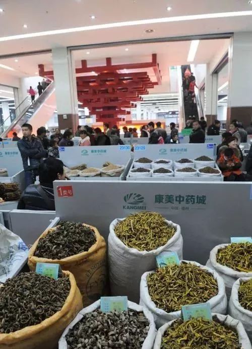 世界上最好的养生药,十大最养生药