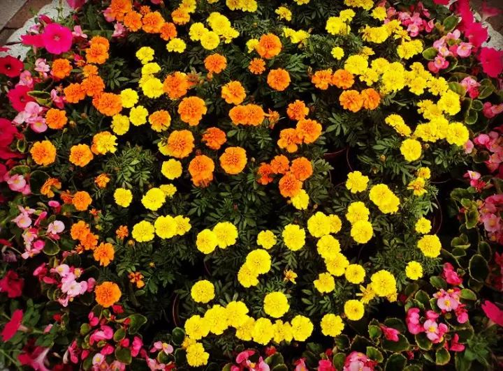 福州的职业技术学院有哪些,福州职业技术学院都有什么学院