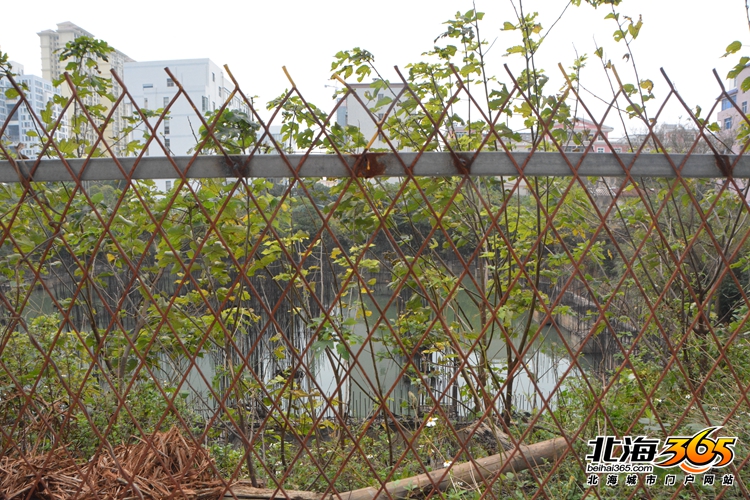 深度探秘：北海十大经典烂尾楼盘之前世今生