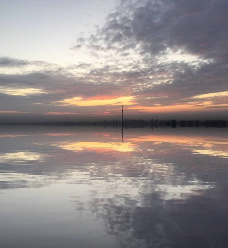 世界上最好的养生药,十大最养生药