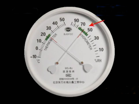 斗鸡苗养殖方法,斗鸡的养殖视频大全