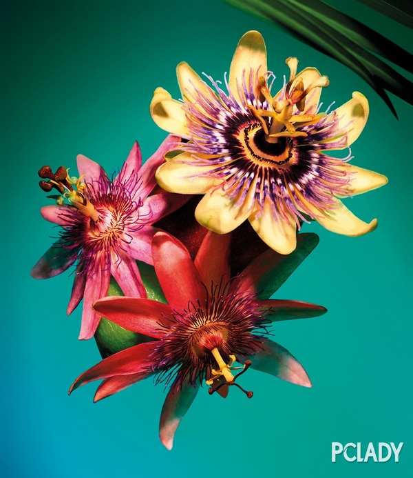 宝格丽omnia系列,宝格丽omnia红水晶