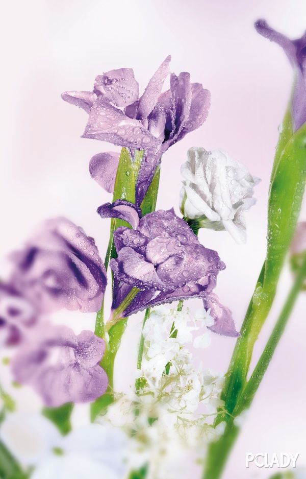 宝格丽omnia系列,宝格丽omnia红水晶