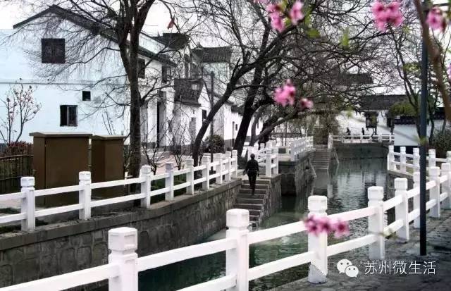 园博园花海在哪个位置,园博园花海现在还有么