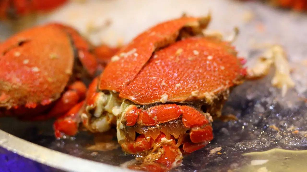 三亚万豪度假酒店攻略,三亚假日度假酒店攻略