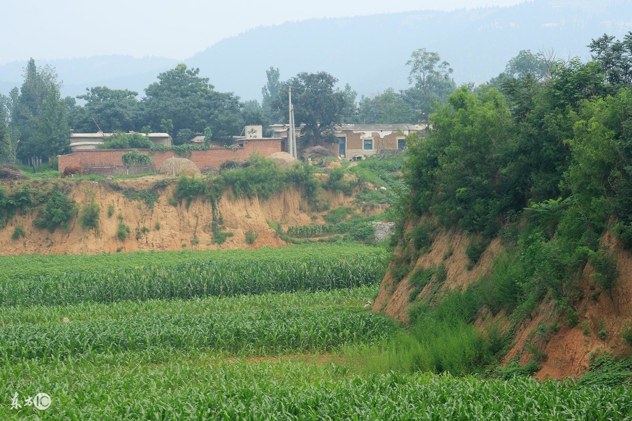 农民的承包地是否可以被村里征收,家庭承包土地村里能收费吗