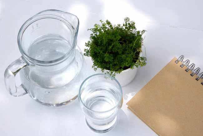 你爱上火吗？快吃这些美味蔬果吧，吃着吃着就灭火啦