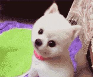 男人要明白一件事的重要性,一个男人最重要的十件事