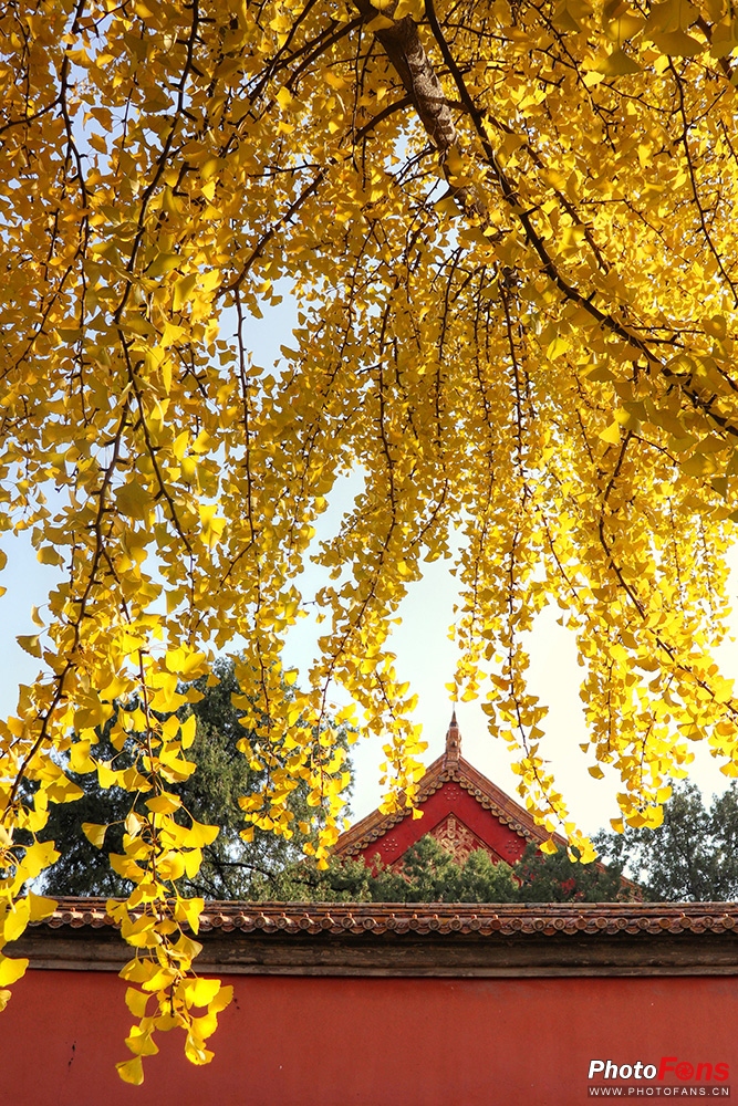 佳能eos800d摄影视频,相机初学者推荐佳能800d