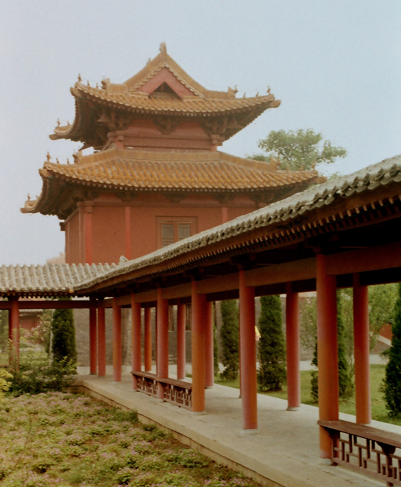 世界上最好的养生药,十大最养生药