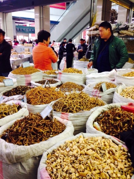 世界上最好的养生药,十大最养生药