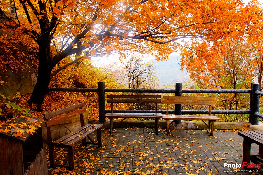 佳能eos800d摄影视频,相机初学者推荐佳能800d