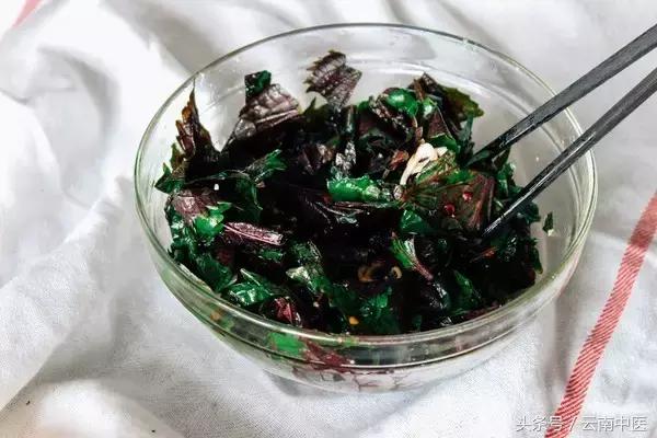 紫苏怎么用效果最好,紫苏越来越绿