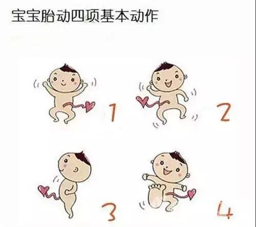 孕期五月胎动在哪,怀孕五个月早晚胎动频繁正常吗