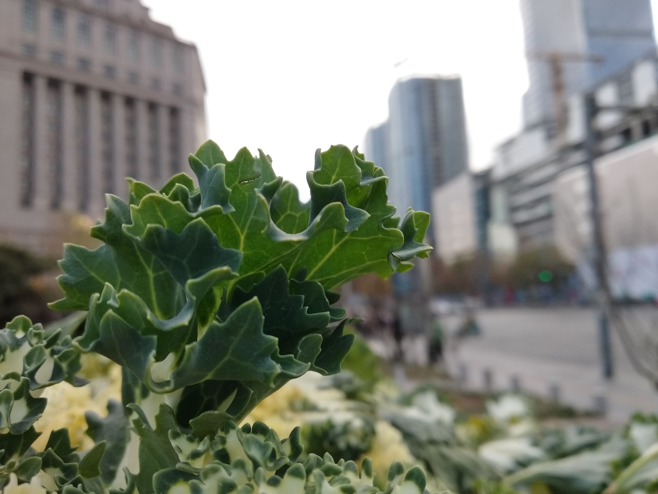 红米5plus测评,红米5plus的优点和不够