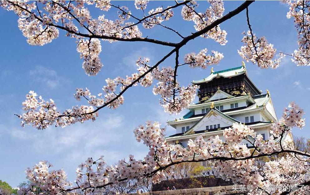 日本海淘新手教程,海淘购物购买攻略