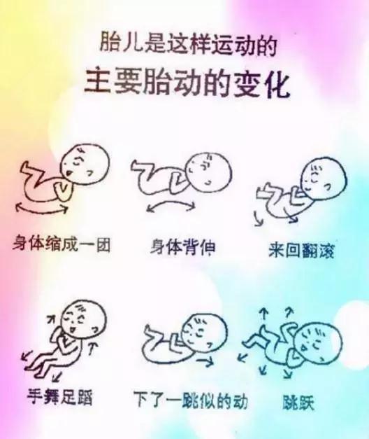 孕期五月胎动在哪,怀孕五个月早晚胎动频繁正常吗